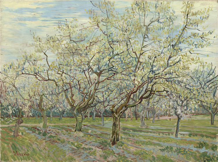 The White Orchard Van Gogh Oil Painting